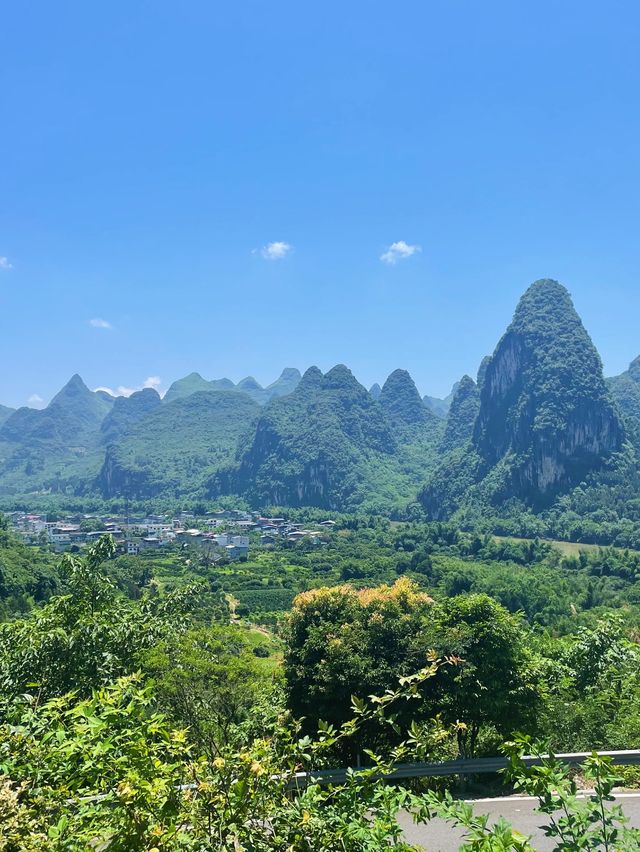 Li River Cruise, Yangshuo🌿🌳🌲