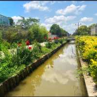 Chongming Manor #1