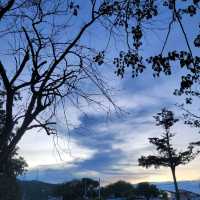 EVENING CHILLING AT PARK 