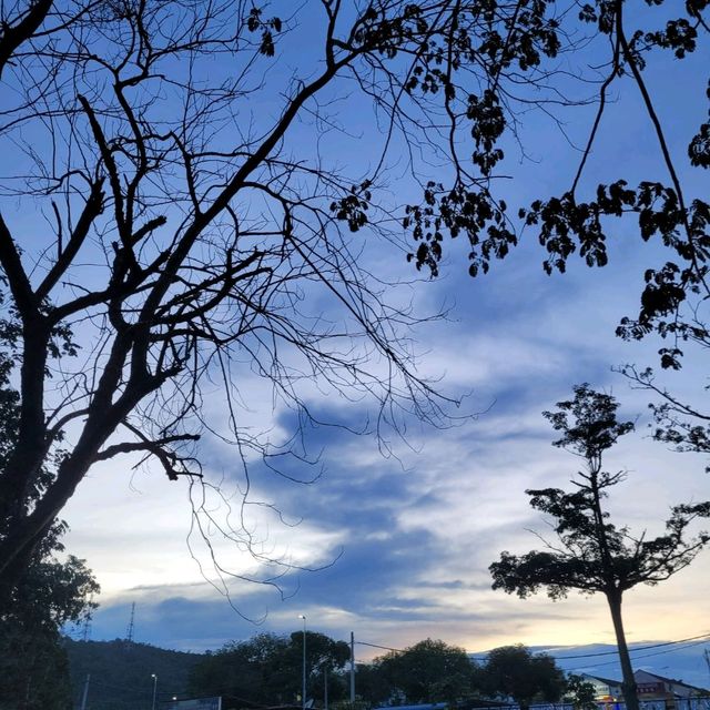 EVENING CHILLING AT PARK 
