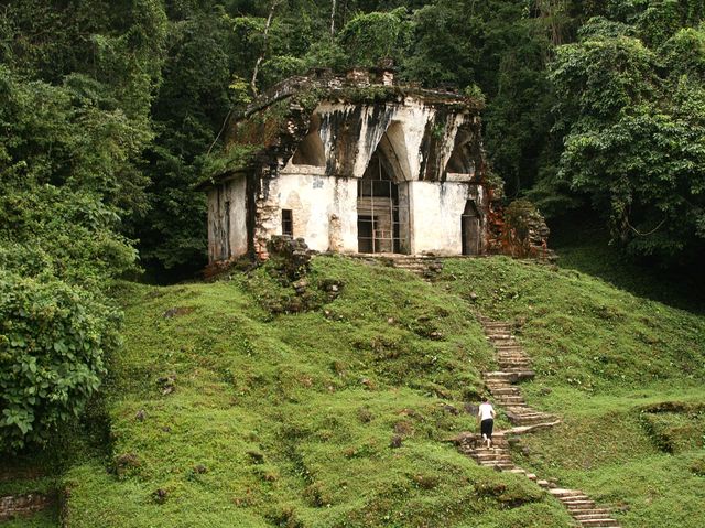 Palenque / México 
