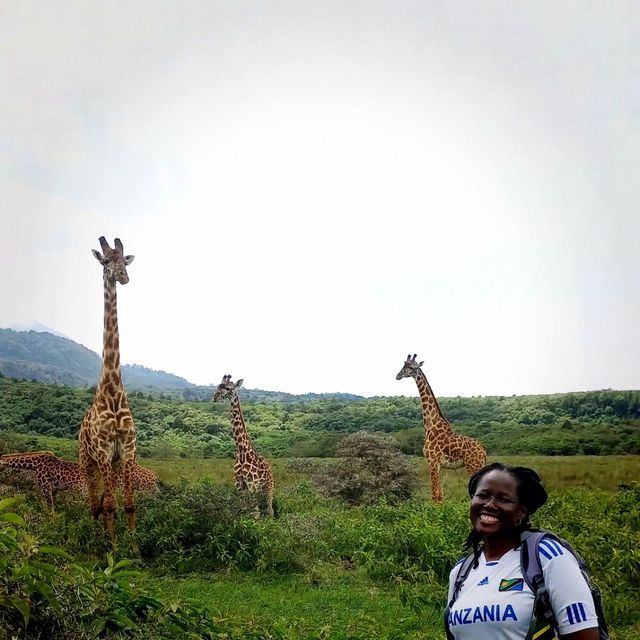 Hello! welcome to walking safari in Tanzania 