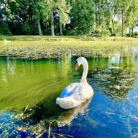 Netherlands Wonderful Scenery 