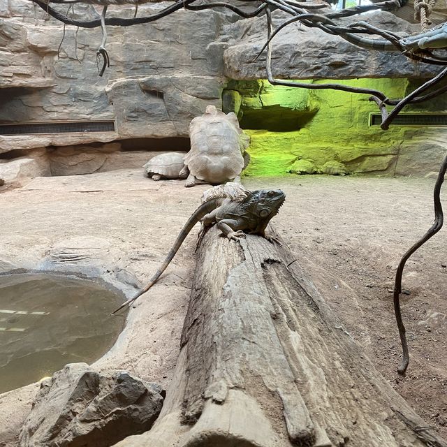 Best Zoo in Shanghai