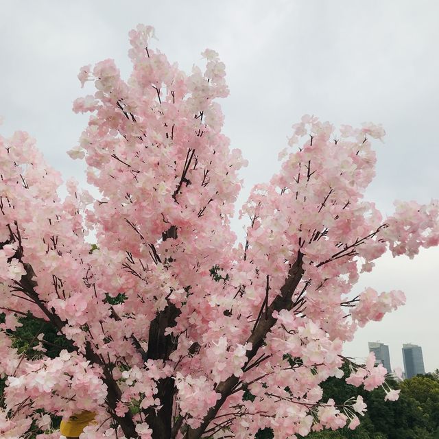 Nanjing, Jiangsu🌸