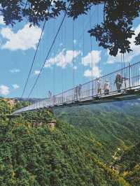 Glass Bridge Experience in Zhejiang 🌁✨