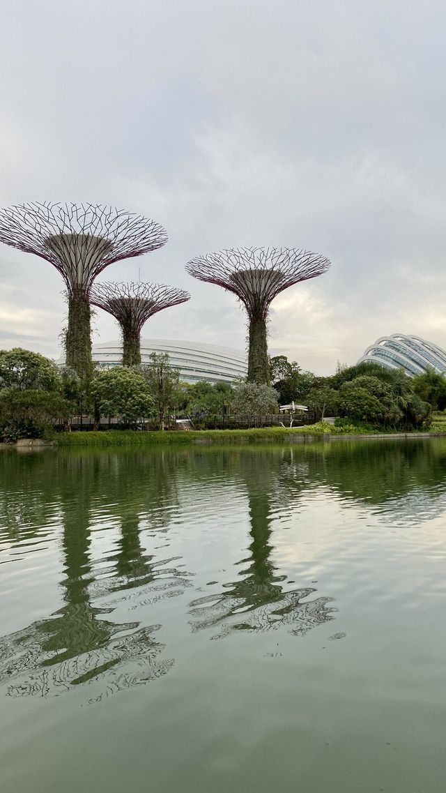 Gardens By The Bay - Singapore