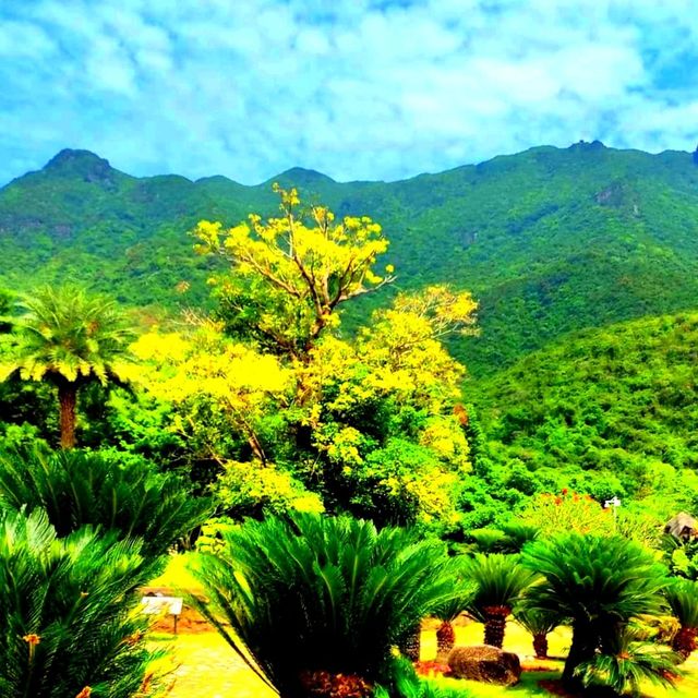 Qiniang Mountain hike in Dapeng