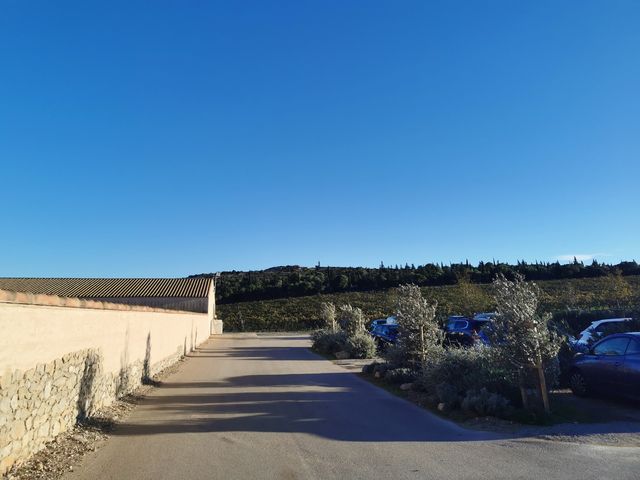 Visit the Napa Valley winery and try it out when you come to Napa Valley.