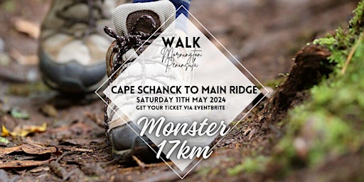 Cape Schanck to Main Ridge - Monster 17KM (One way) | Cape Schanck lighthouse car park