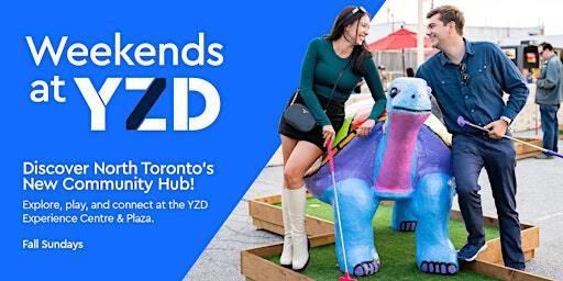 Toronto Comic Arts Festival (Illustrations) | YZD