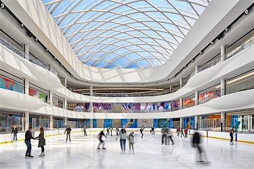 Northeast Social: American Dream Ice Skating Social | The Rink