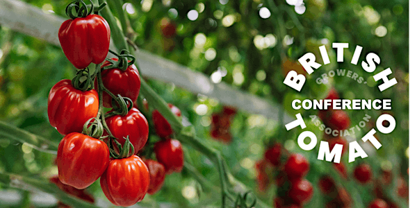 2025 British Tomato Conference | Chesford Grange Hotel