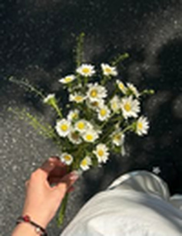 kazu_trip_journal