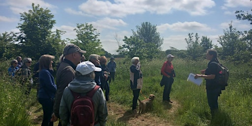 Nature Walk at Martlesham Wilds (WG5) | Martlesham Wilds