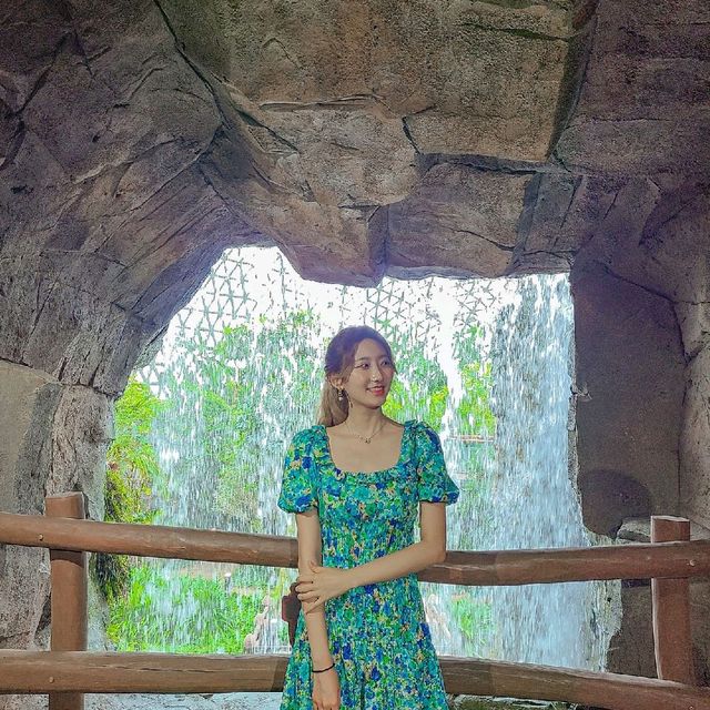 거제식물원 정글돔