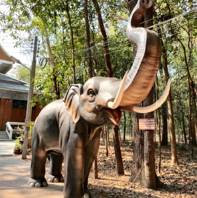 วัดหนองป่าพง  จ.อุบลราชธานี