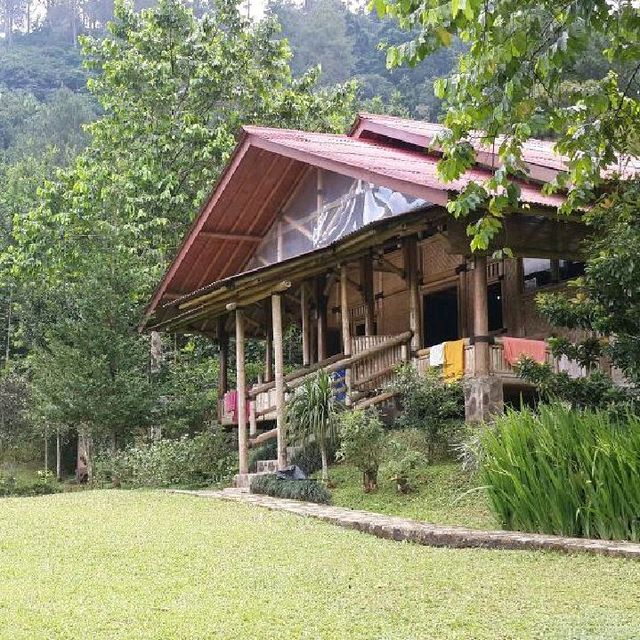 D'JUNGLE PRIVATE CAMP, BOGOR