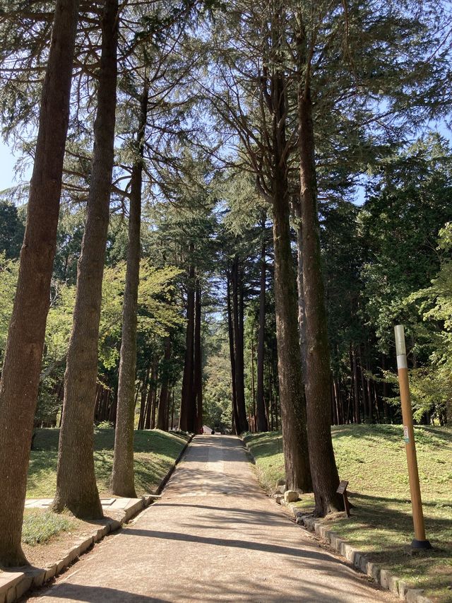 양산에 이런곳이?!