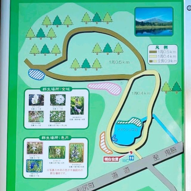 離島でバードウォッチング