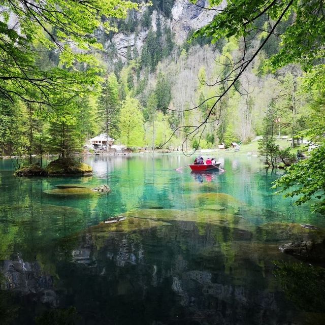 Blausee สะเลสาปสีฟ้า🇨🇭