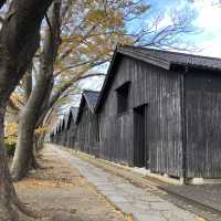 江戸時代の歴史をそのまま体感 山形酒田