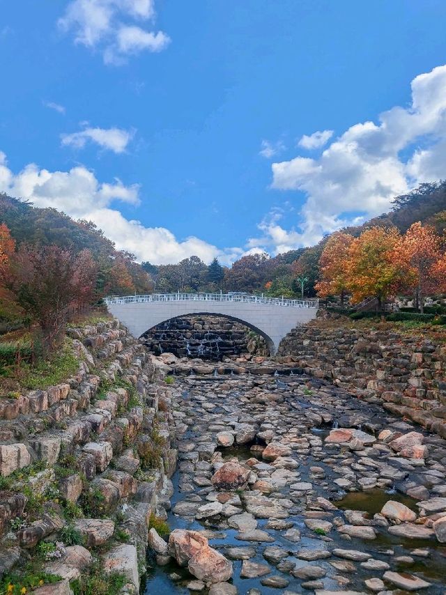 부산에서 가을 즐기기 🍁 