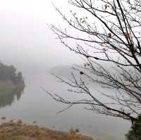 太平山森林遊樂園區