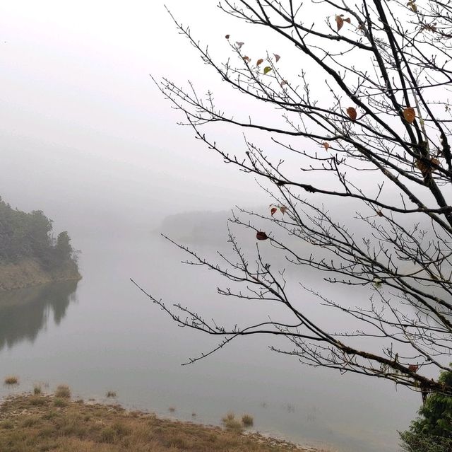 太平山森林遊樂園區