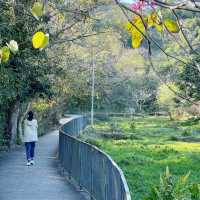 離島好去處 梅窩