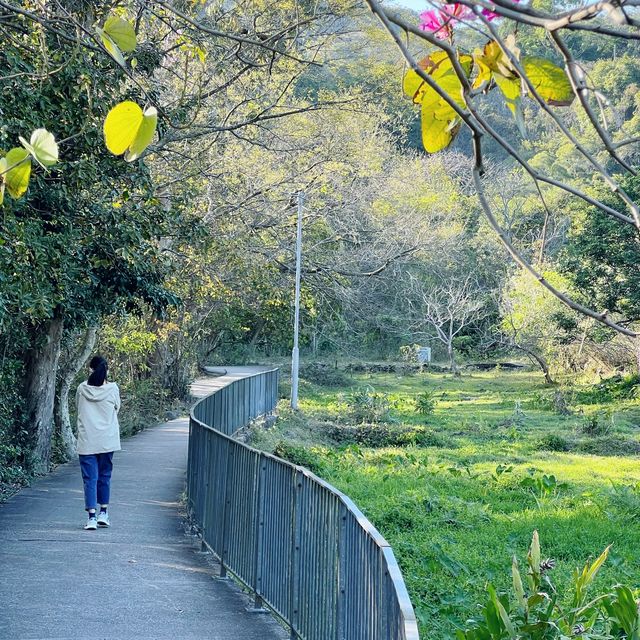 離島好去處 梅窩