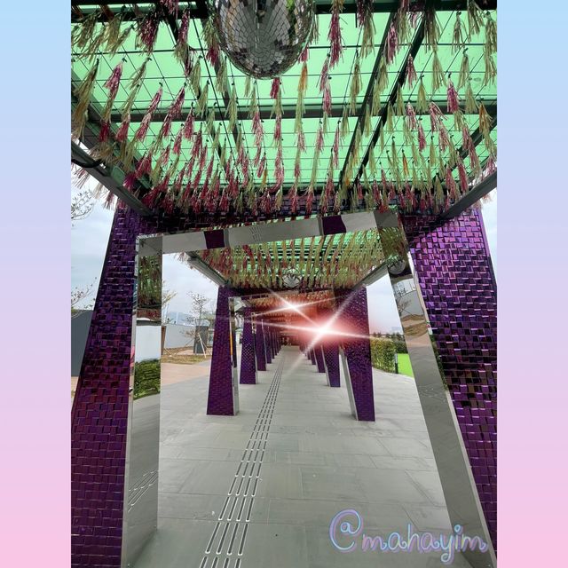 拍拖👫打卡📷景點