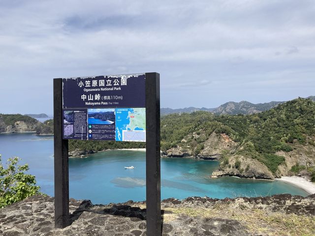 【東京】小笠原の絶景が見られる「中山峠」