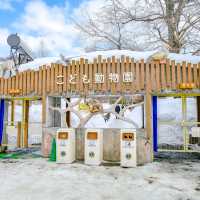 冬の円山動物園・こども動物園