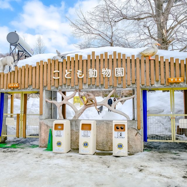 冬の円山動物園・こども動物園