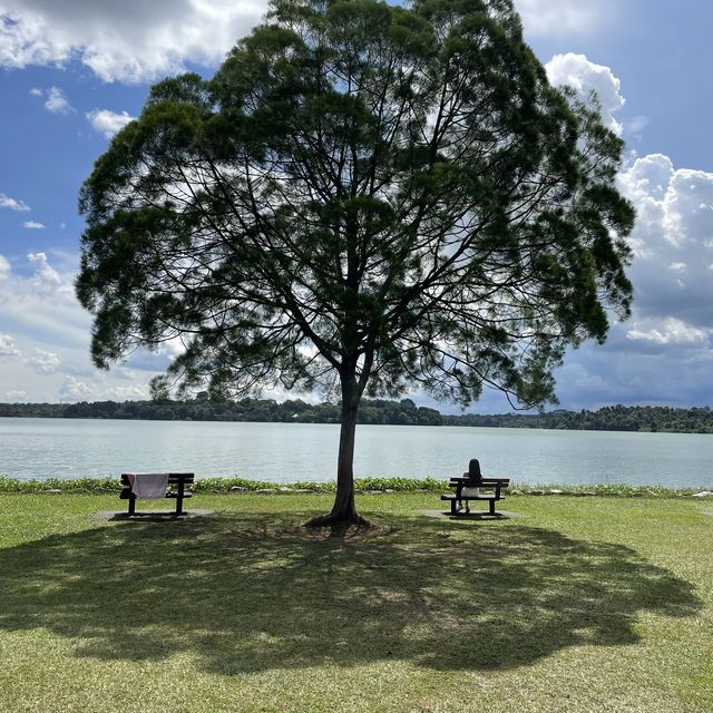 Sightseeing at Upper Seletar Reservoir Park