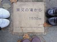 東京賞楓🍁好去處｜栗又之滝