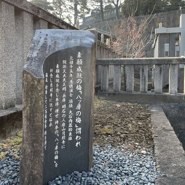四十七士のお墓参り