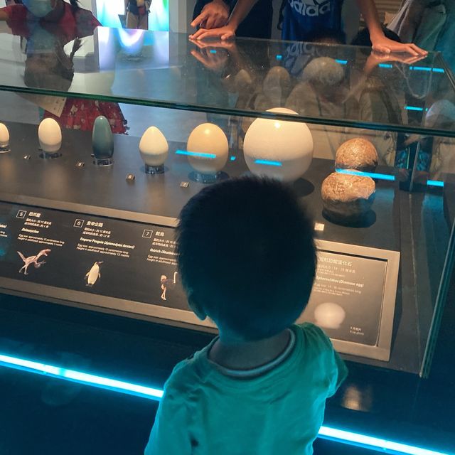 科學館「八大・尋龍記」展覽