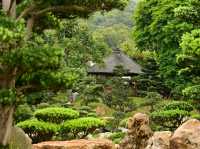 志蓮淨院，南蓮寺略貌