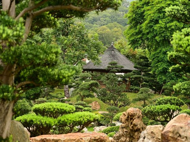 志蓮淨院，南蓮寺略貌