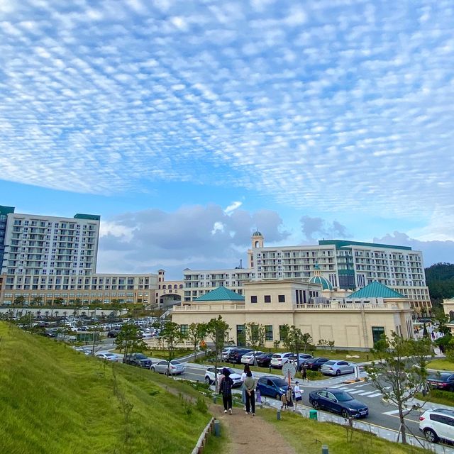 멋진 인피니티풀을 자랑하는 쏠비치 진도🌊✨