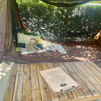懶人露營⛺️正夯🔥輕鬆體驗露營感覺,共享大自然芬多精!