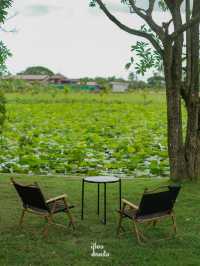 SOYOU House cafe คาเฟ่โคราช ริมสระบัว