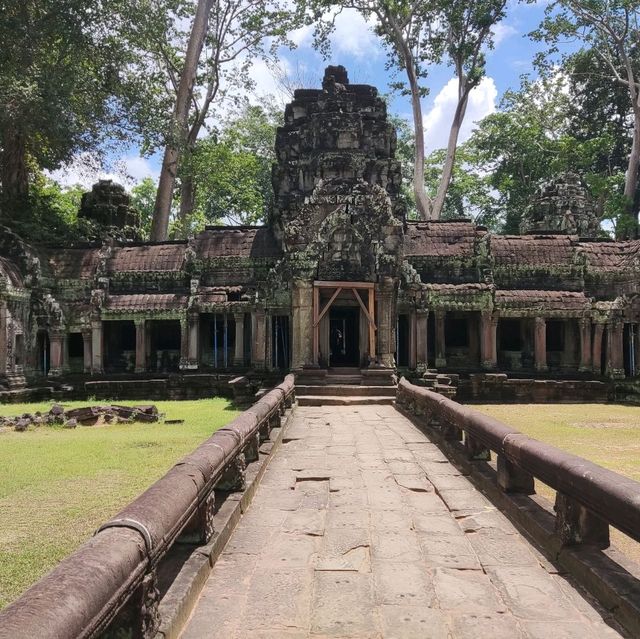 The Trees Roots Temple