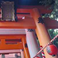 【日本 京都】拍照勝地！千本鳥居 ！