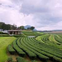 beautiful park with good restaurants 