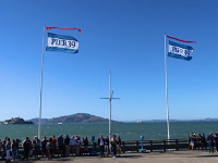 바다사자 볼 수 있는 Pier30 🦭 