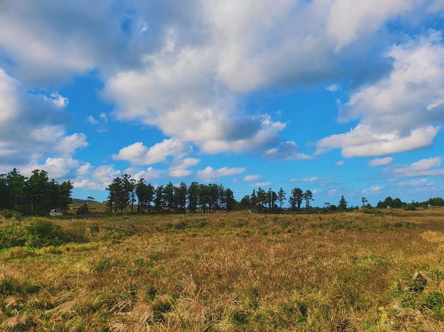 제주도에서 즐기는 🍁 레일바이크