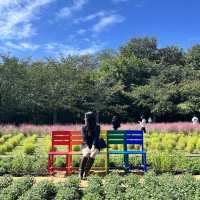 한국의 하이드파크 “올림픽공원”🌳